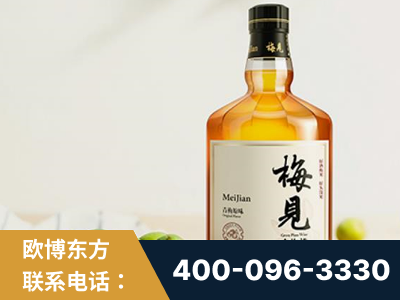 金华-梅见青梅酒
